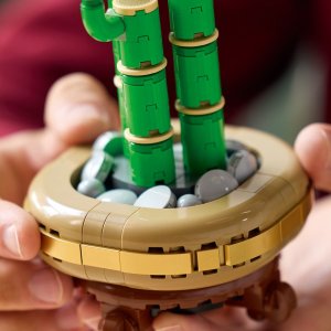 LEGO Botanicals Dracena sandera (10344) 7