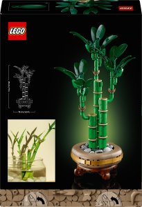 LEGO Botanicals Dracena sandera (10344) 9