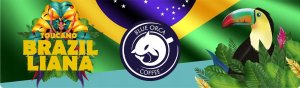 Kawa ziarnista Blue Orca Coffee Kawa ziarnista 1kg x2 BossaNova + Toucano 100% Arabica 11