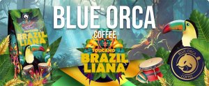 Kawa ziarnista Blue Orca Coffee Kawa ziarnista 1kg x2 BossaNova + Toucano 100% Arabica 4