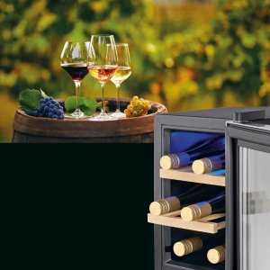 ProfiCook Chłodziarka do wina (PC-WK 1231) 2