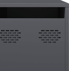 vidaXL Szafka RTV, czarna, 202x39x43,5 cm, stal walcowana na zimno 10