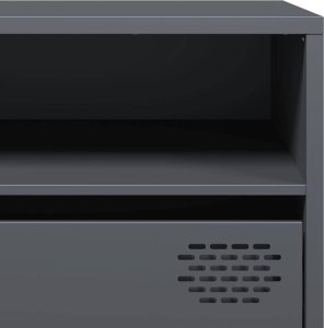 vidaXL Szafka RTV, czarna, 202x39x43,5 cm, stal walcowana na zimno 10