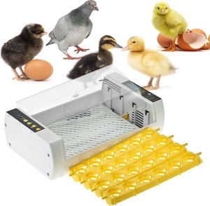 Inkubator do jajek Heckermann EW-24A 2