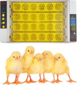 Inkubator do jajek Heckermann EW-24A 3