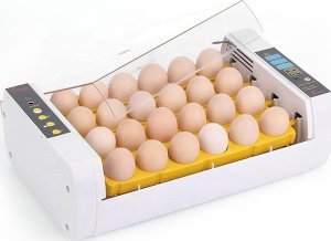 Inkubator do jajek Heckermann EW-24A 4