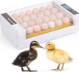 Inkubator do jajek Heckermann EW-24A 5