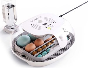 Inkubator do jajek Heckermann M16 13