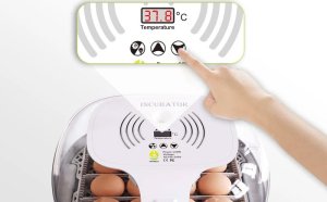 Inkubator do jajek Heckermann M16 3