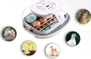 Inkubator do jajek Heckermann M16 6