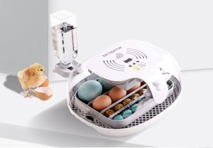 Inkubator do jajek Heckermann M16 7