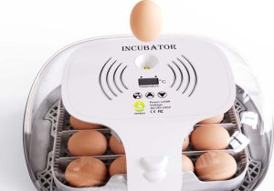 Inkubator do jajek Heckermann M16 10