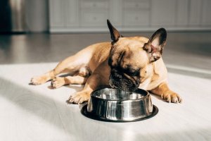 Pan Mięsko Karma sucha dla psa Cielęcina z jagnięciną (senior) chrupki M 9kg 6