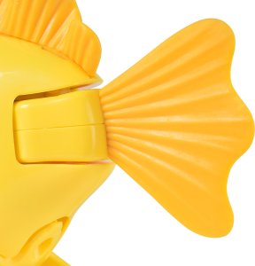 Rainbow Reef Fish - Zebra Fish 4