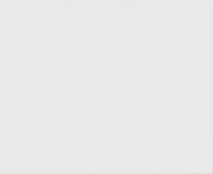 vidaXL Szafki RTV 2 szt. Białe 60x31x25,5 cm Drewno klejone 8