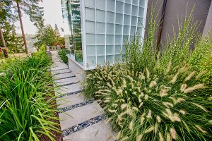 Sumin - nawóz do traw ozdobnych 1kg 7