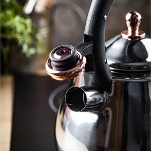 CZAJNIK STALOWY Z GWIZDKIEM 2,8L KLAUSBERG KB-7776 7