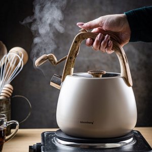 CZAJNIK STALOWY Z GWIZDKIEM 2,5L KLAUSBERG KB-7775 10