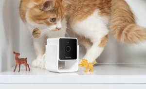 Petcube Cam | Pet monitoring camera | WiFi, 1080p 6