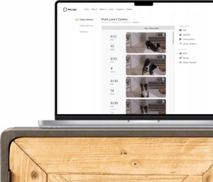 Petcube Cam | Pet monitoring camera | WiFi, 1080p 7