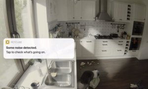 Petcube Cam | Pet monitoring camera | WiFi, 1080p 9