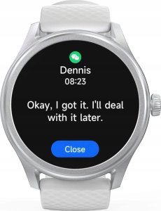 Smartwatch Hama 5010 Szary  (00178617) 2