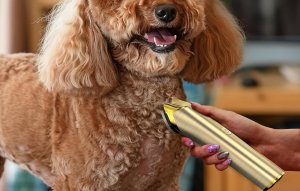 Trymer / Maszynka do strzyżenia dla zwierząt Oneisall RK-034 3