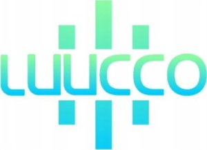 Mikrofon Luucco Mikrofon Pojemnościowy GAMINGOWY Studyjny 24bit 192kHz USB-C TYPE-C Statyw / Stream Pro - S1 2