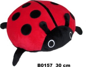 Biedronka 30cm 1