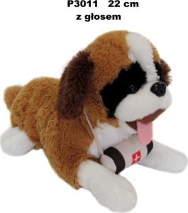 Pies bernardyn z głosem 22cm 1