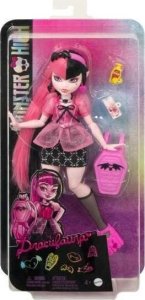 Monster High. Lalka z akcesoriami HKY71 1