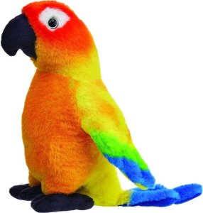 Konura słoneczna 20cm 1