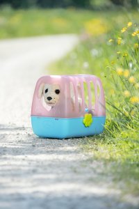 BABY BORN interactive dog with a box 15