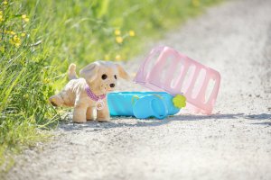 BABY BORN interactive dog with a box 17