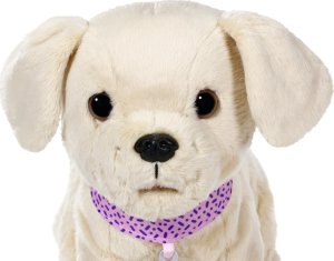 BABY BORN interactive dog with a box 10