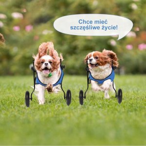 Wózek inwalidzki dla psów średnich ras - tylne łapy, rozmiar M Braders 11