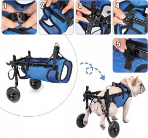 Wózek inwalidzki dla psów średnich ras - tylne łapy, rozmiar M Braders 7