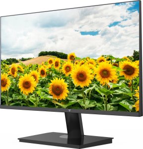 23.8IN FHD IPS MONITOR HDMI 5