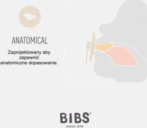 BIBS COLOUR ANATOMICAL CORAL S Smoczek ortodontyczny kauczuk Hevea 3