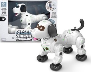 PIESEK ROBOT INTERAKTYWNY CHODZI PUSZCZA BĄKI PARA 1