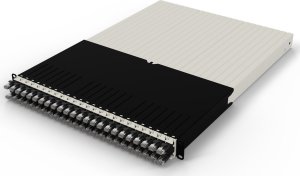 30RU / STP / Black 2