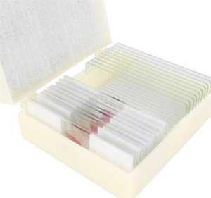 Konus Biologija 25 preparatai (ląstelės ir audiniai) 4