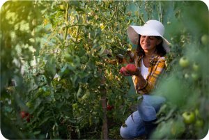 Tunel ogrodowy 3 x 6 m (18m2) biały Plonos 11