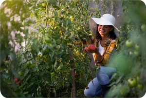 Tunel ogrodowy 2,5 x 4 m (10m2) różowy Plonos 11