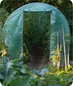 Plonos Tunel ogrodowy 2,5 x 4 m (10m2) Plonos 10