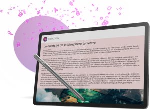 Tablet Lenovo Idea Tab Pro 12.7" 256 GB Szary (ZAE40020SE) 11