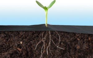 Agrowłóknina ogrodowa 1,6 m x 50 m 90 g/m2 + 100 szpilek Plonos - czarno-zielona 8