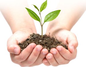 Agrowłóknina ogrodowa 1,6 m x 50 m 90 g/m2 + 100 szpilek Plonos - czarno-zielona 9