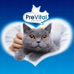 PREVITAL - Z kurczakiem - Pełnoporcjowa karma dla dorosłych kotów - karma sucha - 1,4kg 3