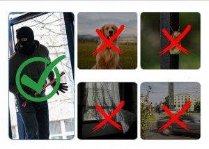 Zewnętrzna Kamera WIFI Obrotowa ICSEE 3MPx ŚLEDZENIE RUCHU 1536p CZARNA SD [i-3SCAM] 10